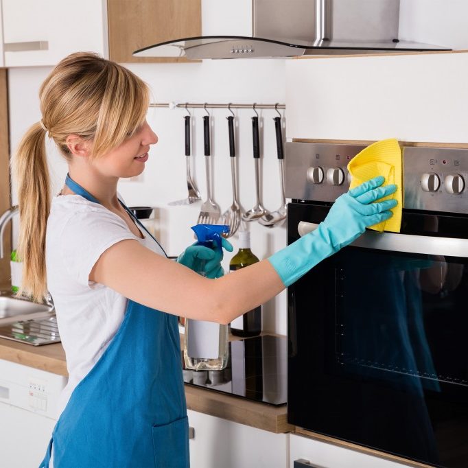 haushaltshilfe-dresden-1024x682